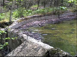 Old Swimming Hole