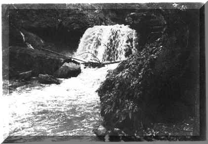 Lower Falls by Ruth Fresch