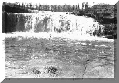 Upper Falls by Ruth Fresch