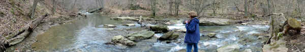 Lower Roaring Run