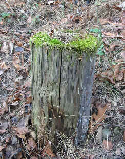 Standing Bench Post