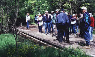 Michaux Pool 2002