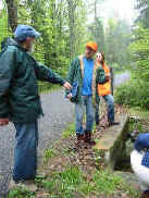 Bridge over Toms Run